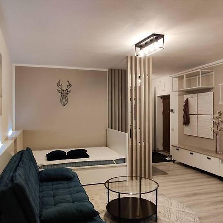 Joy City Stay Vivalia V6A-41 Timişoara Buitenkant foto