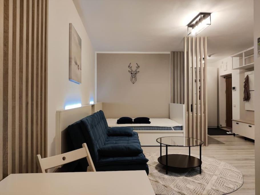 Joy City Stay Vivalia V6A-41 Timişoara Buitenkant foto