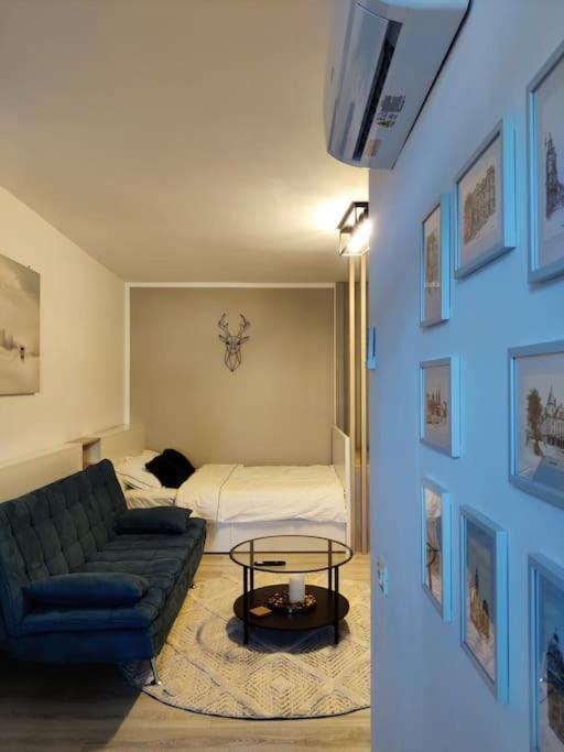 Joy City Stay Vivalia V6A-41 Timişoara Buitenkant foto