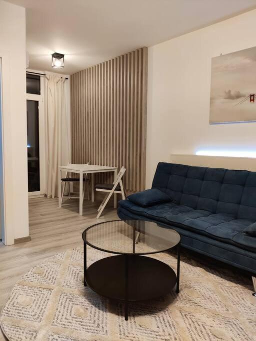 Joy City Stay Vivalia V6A-41 Timişoara Buitenkant foto
