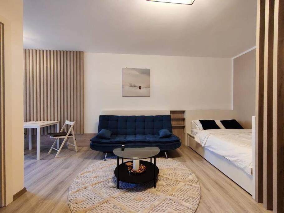 Joy City Stay Vivalia V6A-41 Timişoara Buitenkant foto